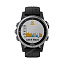 спорт-часы Garmin Fenix 5S Plus серебристые с черным ремешком